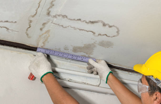 Reliable Water Damage contractor in Rochester, MI by Water Damage Irwin